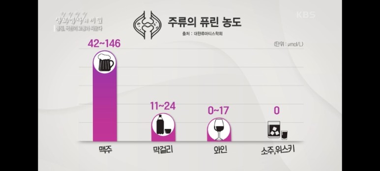 [생로병사의비밀-통풍] 통풍 11