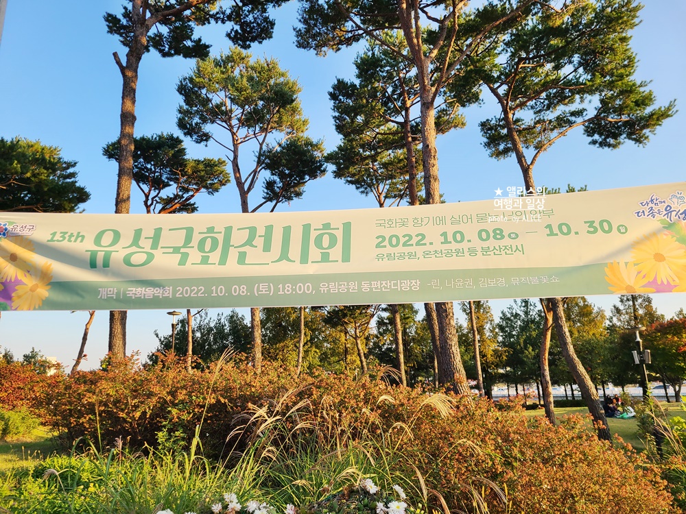 대전 유림공원 유성국화전시회