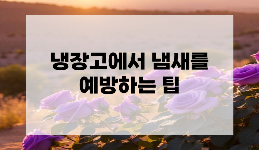 냉장고에서 냄새를 예방하는 팁