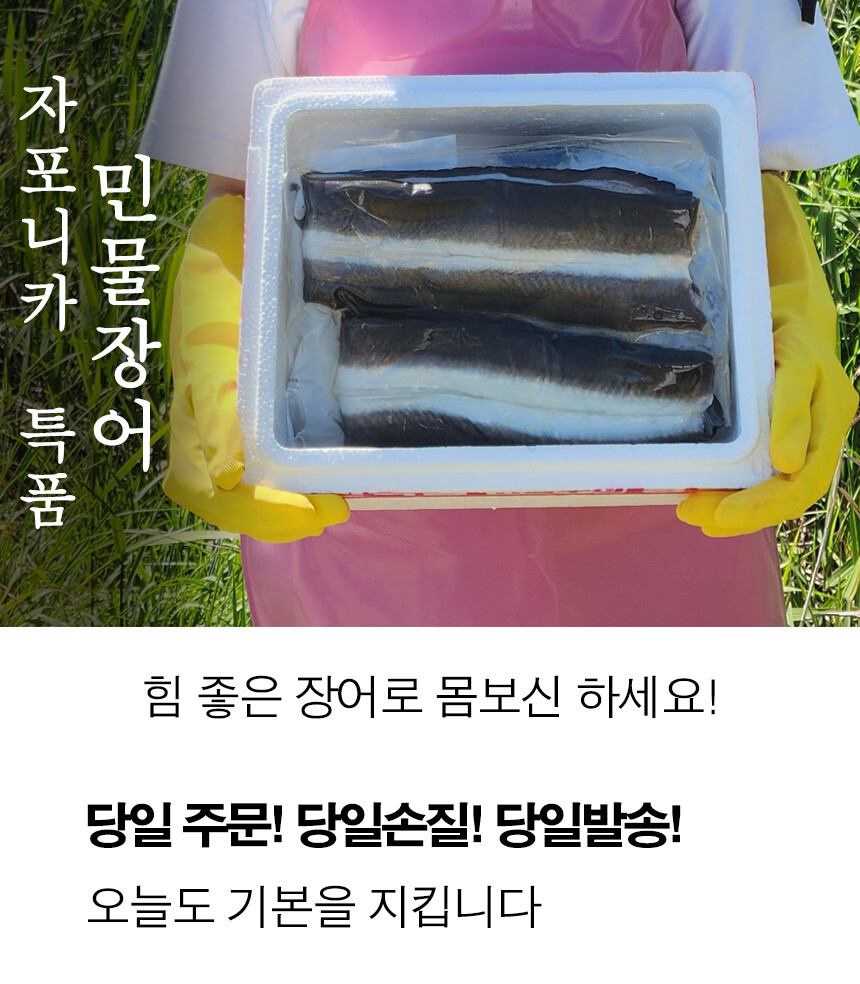  자포니카 민물 장어 1kg 풍천 택배 철 구이 추천