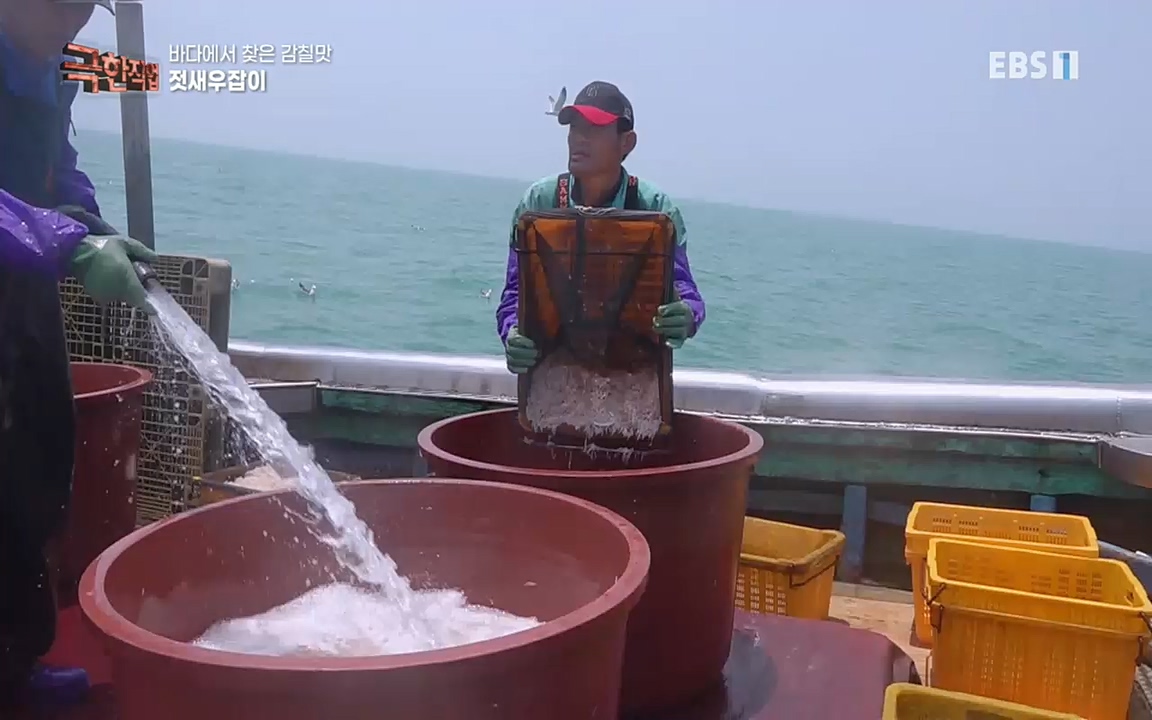 TV - 교육의 중심 EBS바다에서 찾은 감칠맛 새우젓과 다시마.mp4_20220717_175004.101.jpg