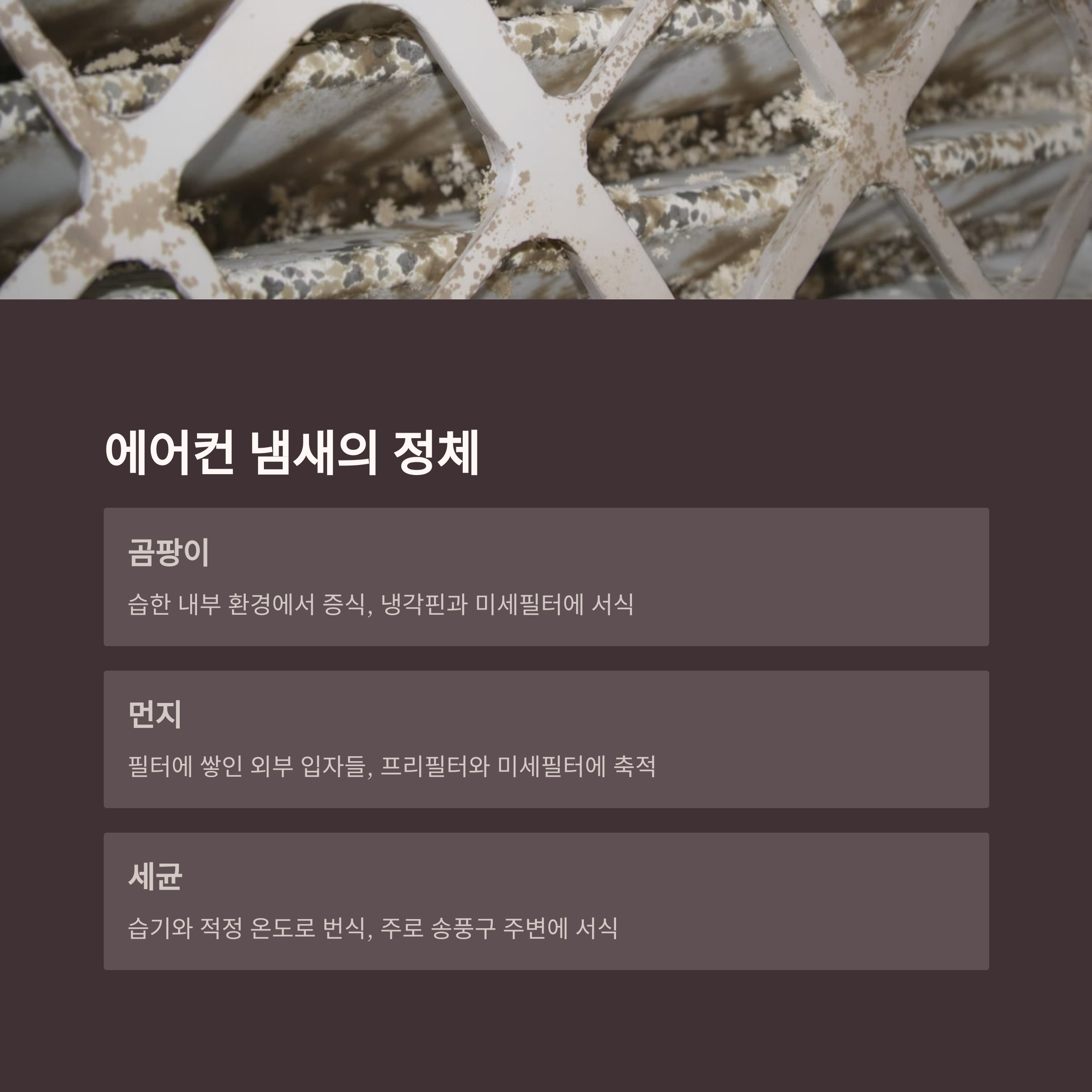 에어컨 냄새의 정체

곰팡이

습한 내부 환경에서 증식, 냉각핀과 미세필터에 서식

먼지

필터에 쌓인 외부 입자들, 프리필터와 미세필터에 축적

세균

습기와 적정 온도로 번식, 주로 송풍구 주변에 서식