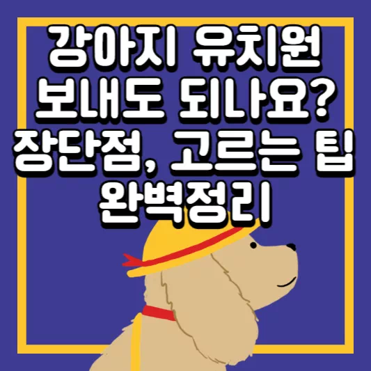 강아지-유치원
강아지-보호
강아지-교육
강아지-훈련
강아지-학교
강아지-맡길곳
반려견-유치원
강아지-사회성
강아지-유치원-비용
펫시터