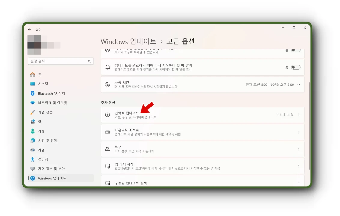 윈도우 업데이트 > 고급 옵션