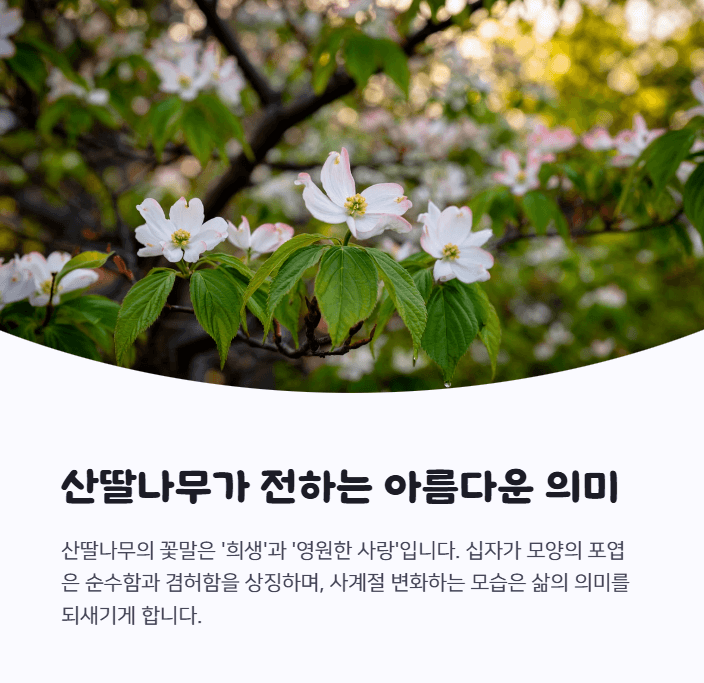 산딸나무