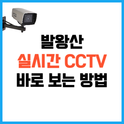 발왕산 실시간 CCTV 보는 방법