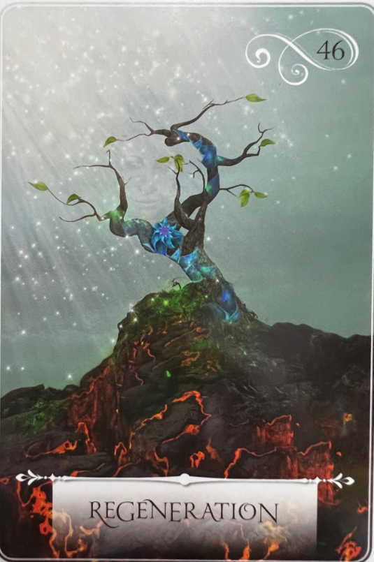  위즈덤 오브 더 오라클 카드 해석 #16 (Wisdom of the Oracles/ 46. REGENERATION /47. GO TO THE DISTANCE /48. POISED)