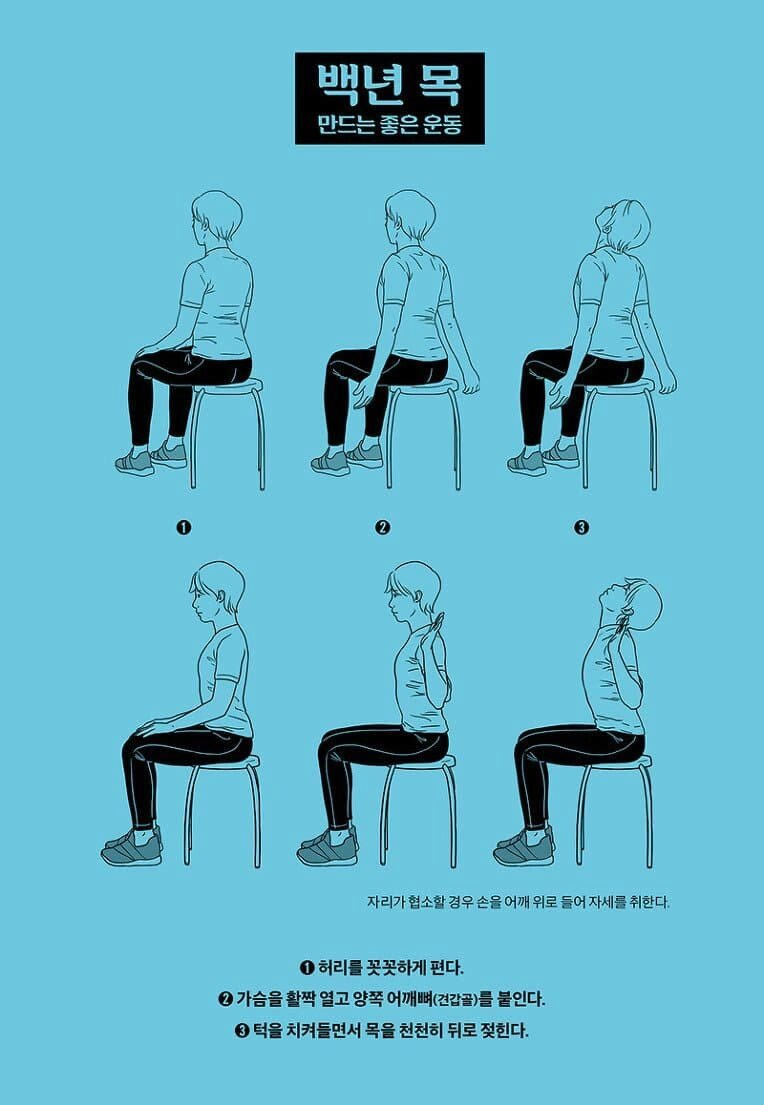  백년 목 운동 + 목디스크 살리기
