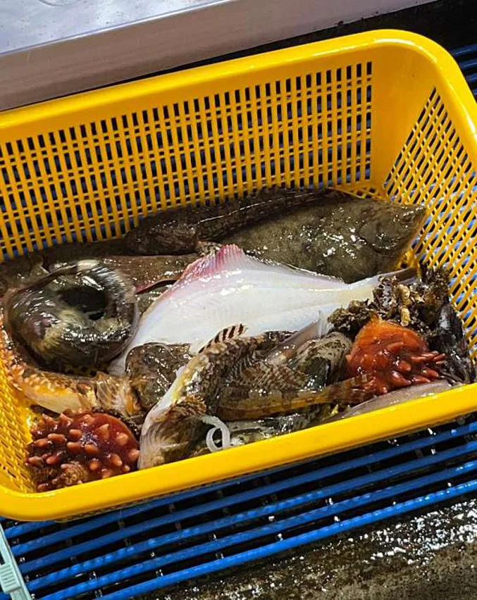 가우도수라상