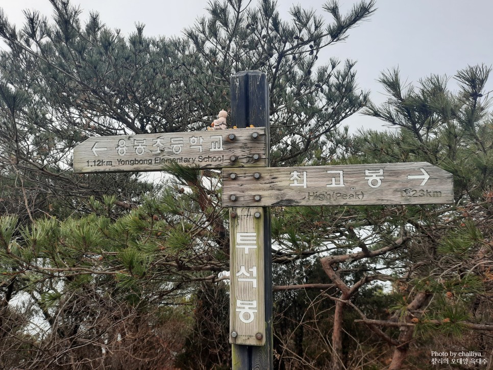 연계산행코스 : 용봉정~갈실고개~수덕사 홍성용봉산 덕숭산 10