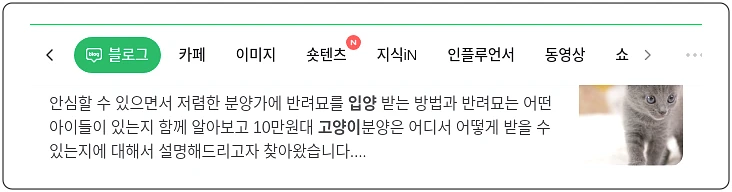 고양이 입양_1_subsection