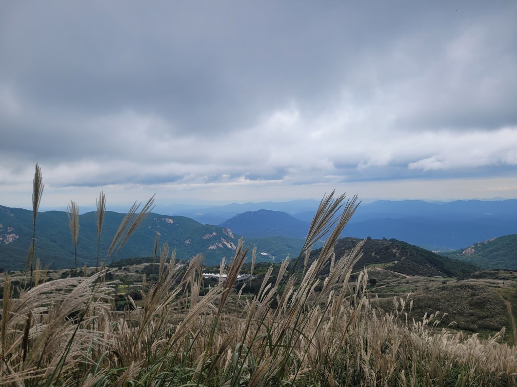 합천 황매산 억새 축제