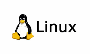 리눅스 서버 용량 확인