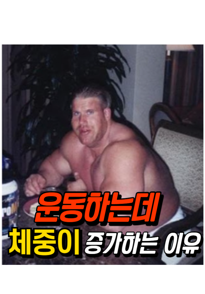 1.운동하는데 오히려 체중이 증가하는 이유