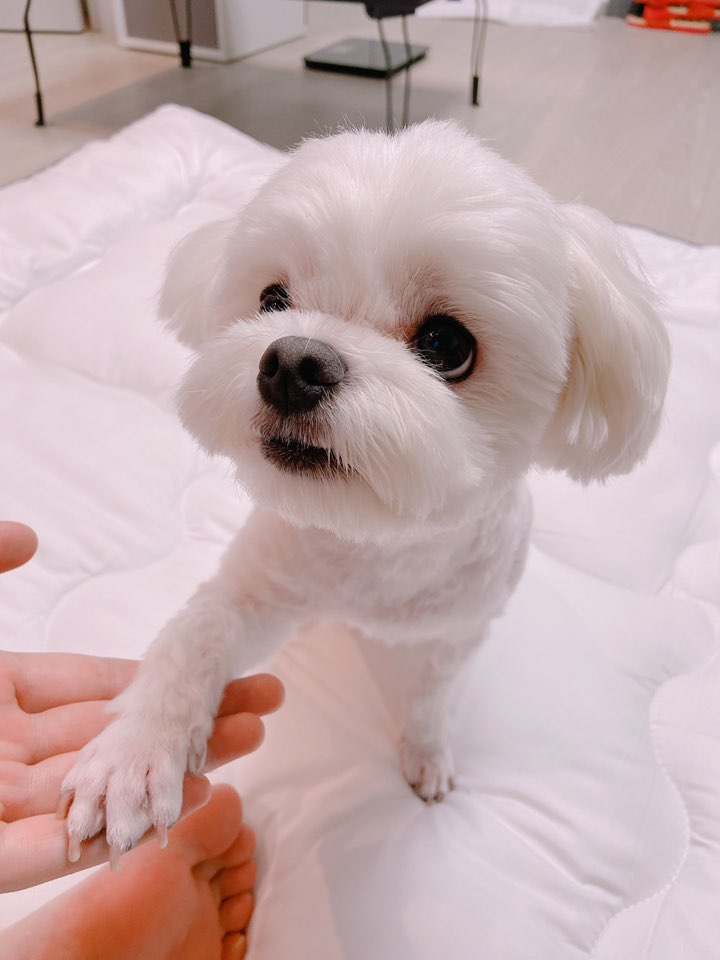  결혼준비 3개월차 진행과정과 느낌! 한눈에 보기
