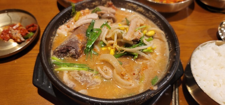  [내돈내먹]첨단맛집'첨단공원국밥'(국밥맛집)