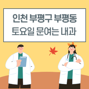 인천 부평구 부평동 토요일 내과 진료 병원 리스트