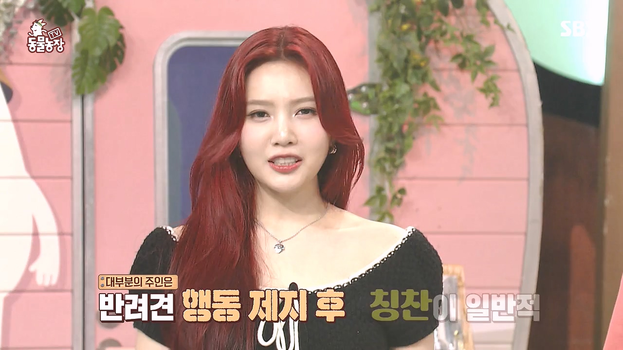 TV 동물농장.E1184.240812p-NEXT.mp4_20240811_172446.618.jpg