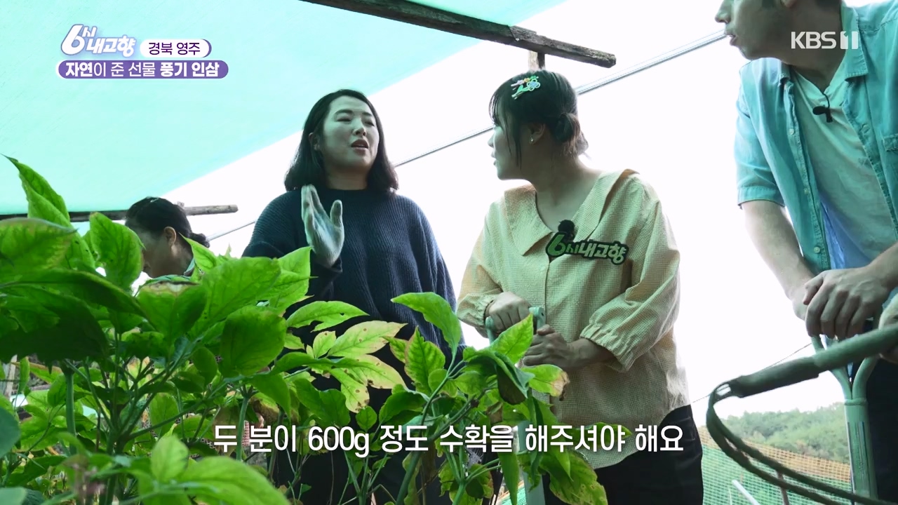 6시 내고향.E7888.230926p-NEXT.mp4_20230926_214714.090.jpg