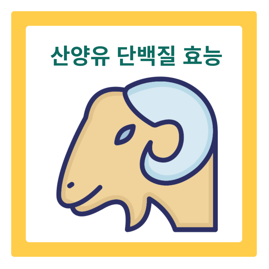  산양유 단백질의 놀라운 효능과 올바른 섭취법