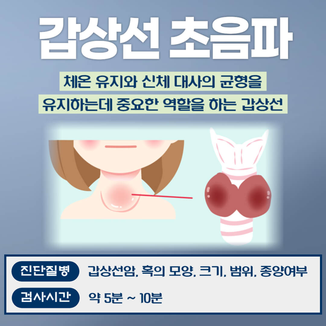 갑상선 초음파