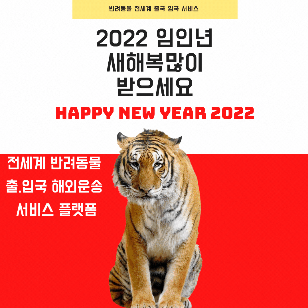  2022년 신년인사말 신정인사 새해인사말 강아지출국 고양이출국 강아지 고양이검역 반려동물 해외운송 수송 이송 업무 감사인사