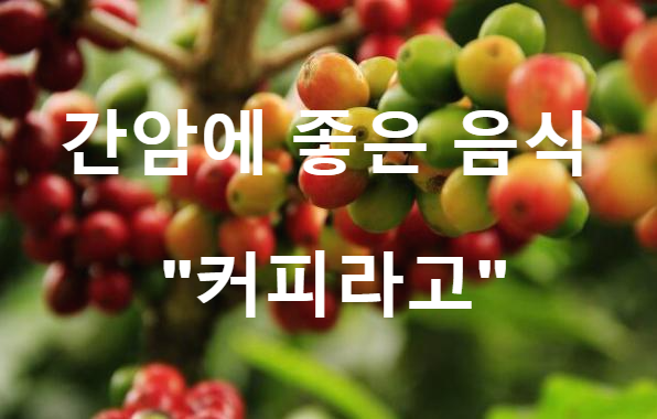  간암에 좋은 음식 커피라고
