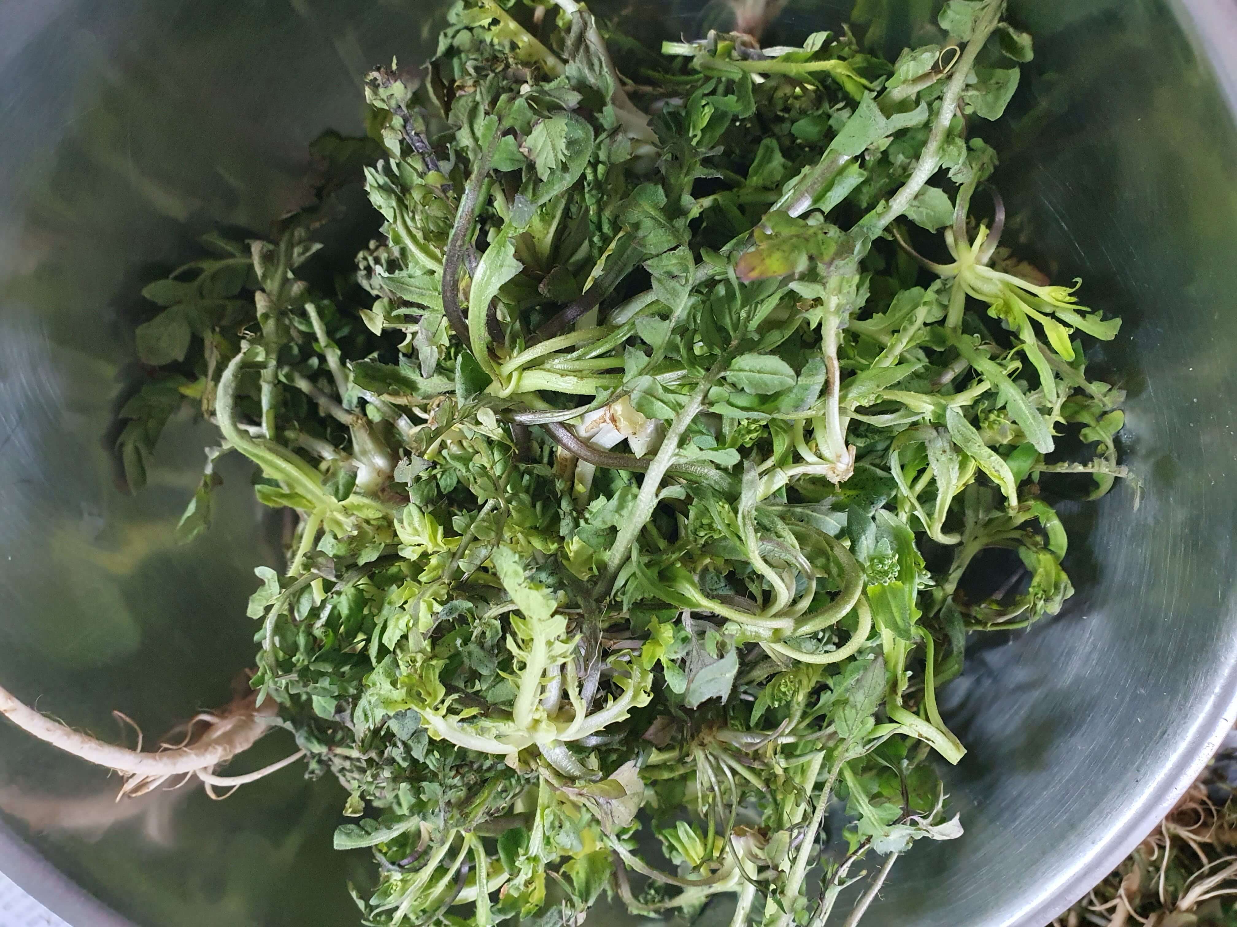 봄철 냉잇국 맛있게 하는 방법