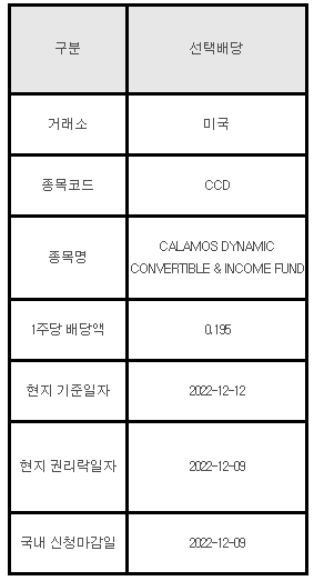 미국주식 선택배당 안내 CCD