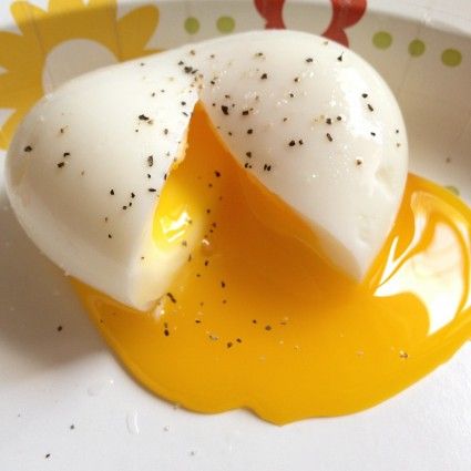 계란 다이어트에 관한 글