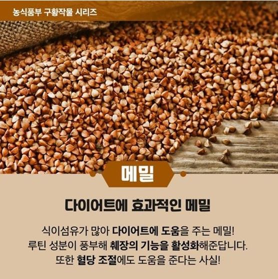 옥수수와 옥수수 가루 추억 // 손자에게 보내는 편지 (제375호) 10