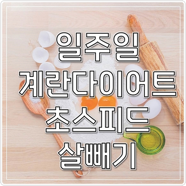  일주일 계란다이어트! 초스피드 살빼기