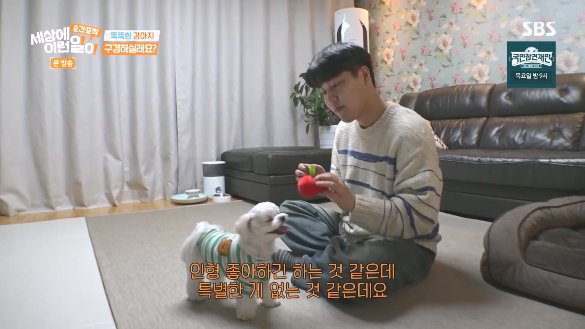 순간포착 세상에 이런일이.E1266.240224p.H264-F1RST.mp4_20240225_162507.517.jpg