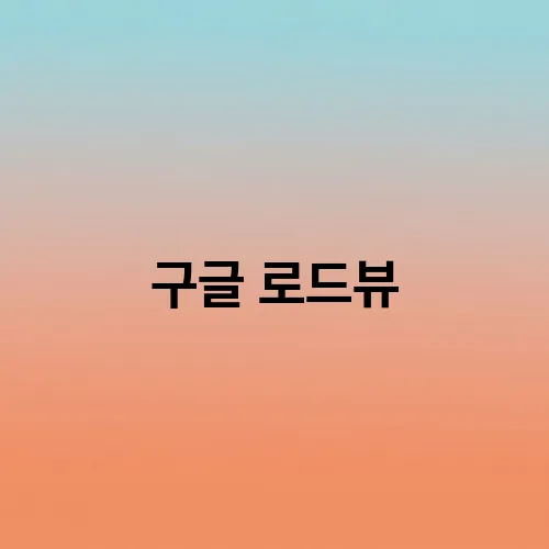 구글 로드뷰