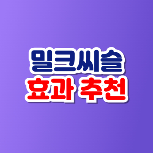 밀크씨슬 효과 추천 총정리