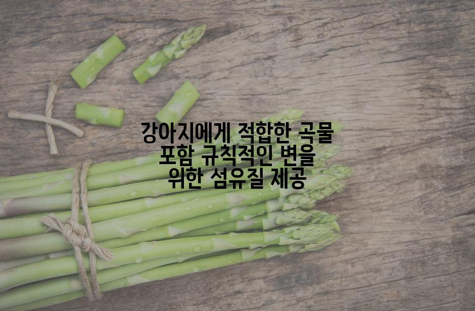 강아지에게 적합한 곡물 포함 규칙적인 변을 위한 섬유질 제공