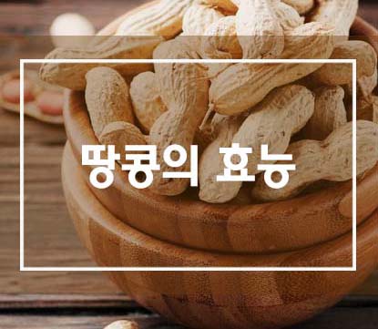  하루 '땅콩 20알'로 당뇨 및 심장병을 예방해보세요