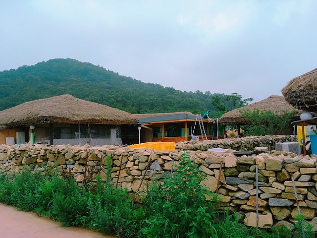 나당 동맹 결성, 한반도 통일을 위한 협력 이해하기