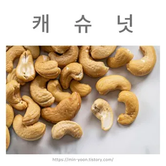 캐슈넛 효능 칼로리 섭취량_21