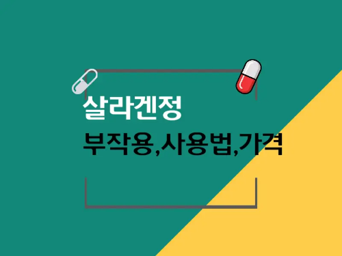 살라겐정 안내 이미지