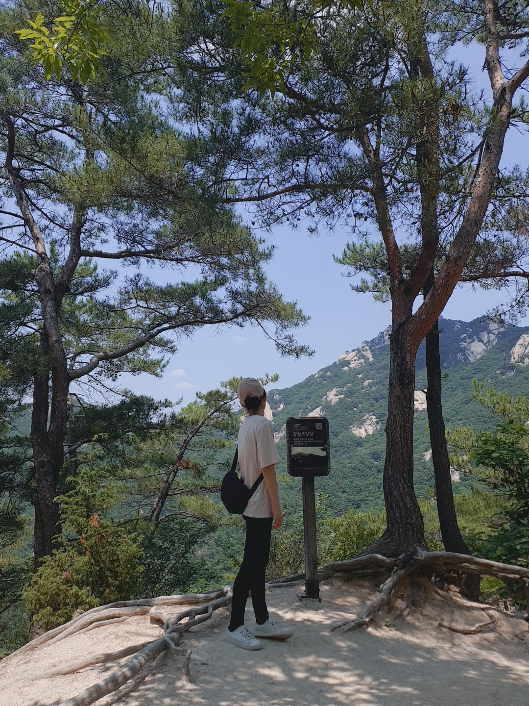  여름의 수락산 등산하기, 전망 최고!