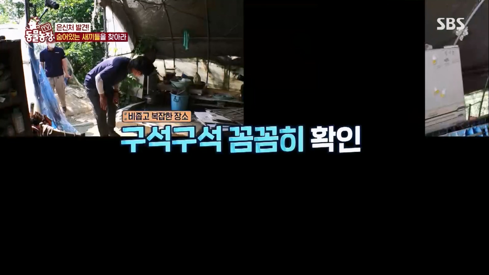 TV 동물농장.E1127.230702p.H264-F1RST.mp4_20230704_212711.573.jpg