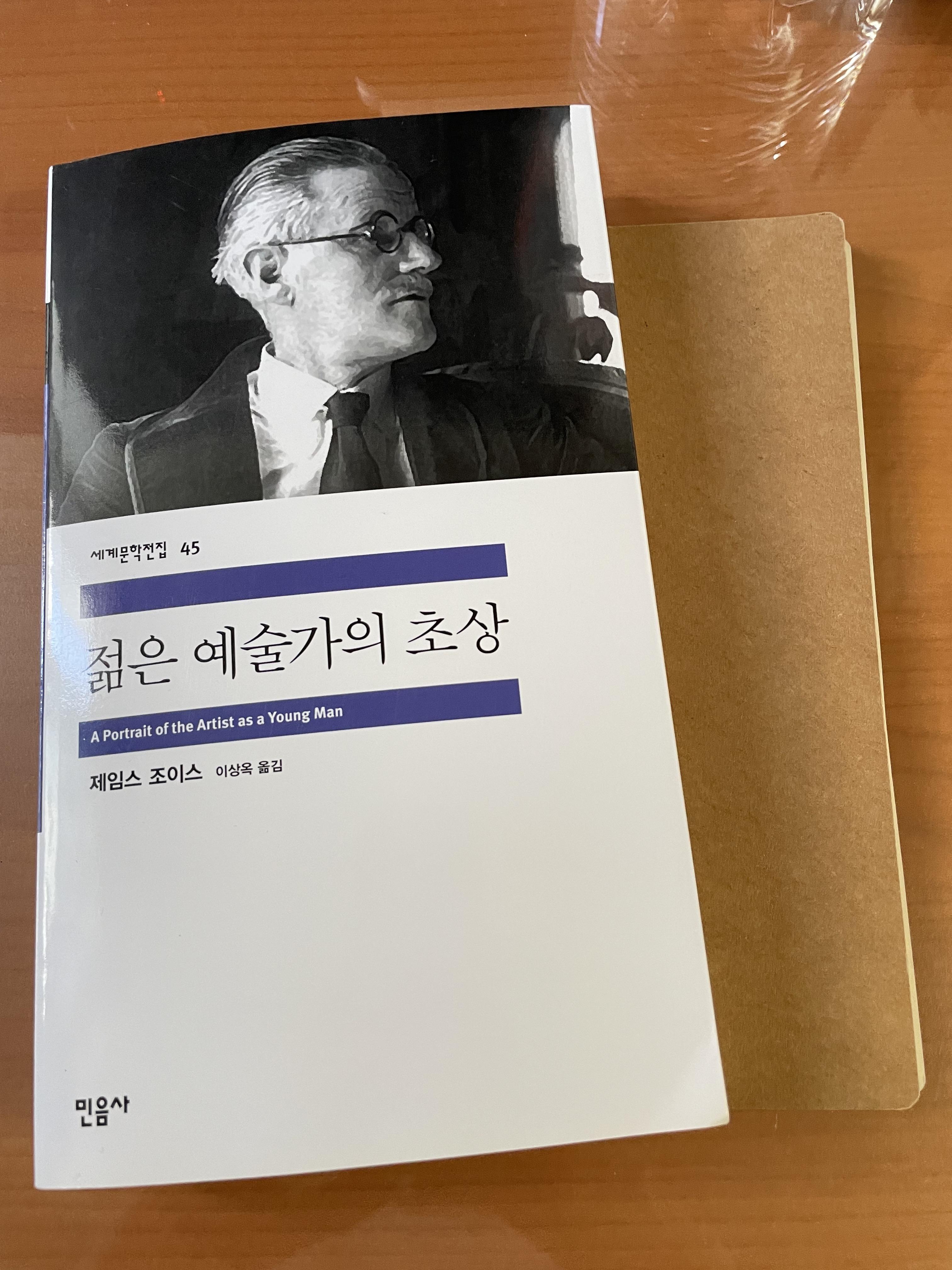  [독서노트] 제임스 조이스 <젊은 예술가의 초상> P.11 ~ 32(민음사) ①
