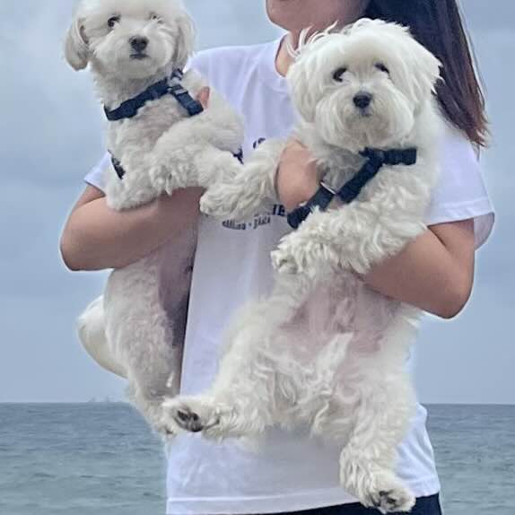 바다의왕자 이미지