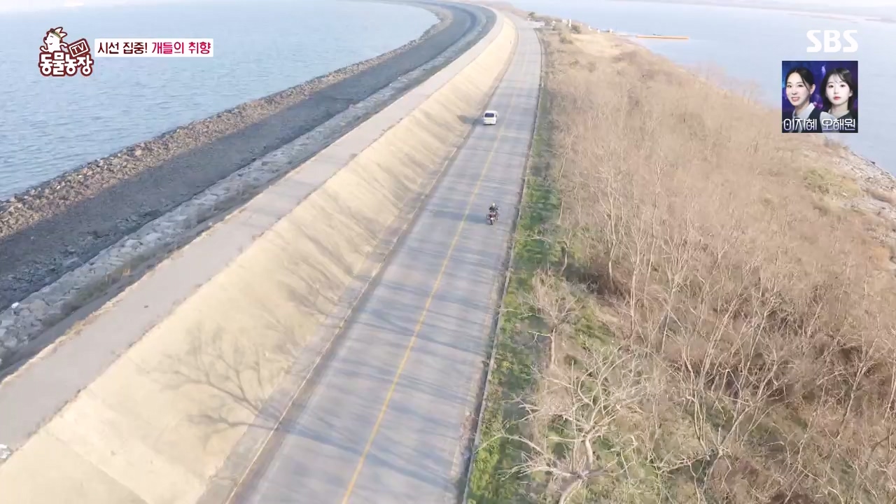 TV 동물농장.E1152.231232p-NEXT.mp4_20231231_172004.676.jpg