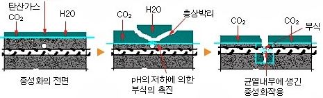  에폭시(epoxy) 도막 철근의 정의 및 특징, 가공 조립 보수 등 유의사항