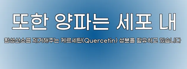  또한 양파는 세포 내 활성산소를 제거해주는 케르세틴(Quercetin) 성분을 함유하고 있습니다
