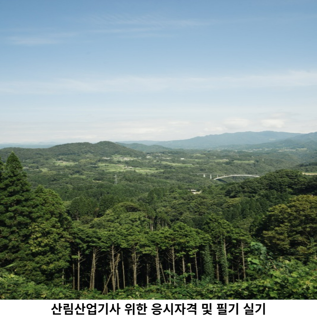 산림산업기사 응시 자격