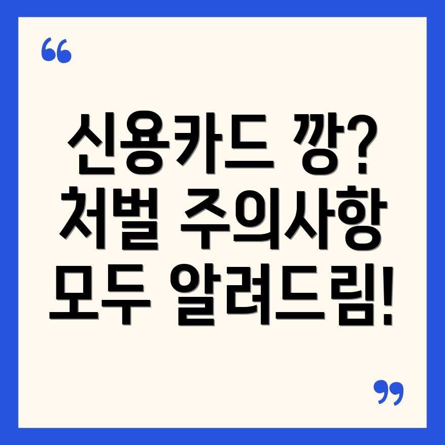 신용카드 깡 처벌