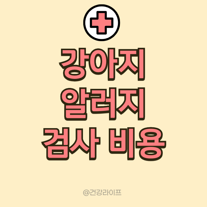 강아지 알러지 검사 비용